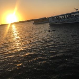 Meet your Posher, Freya